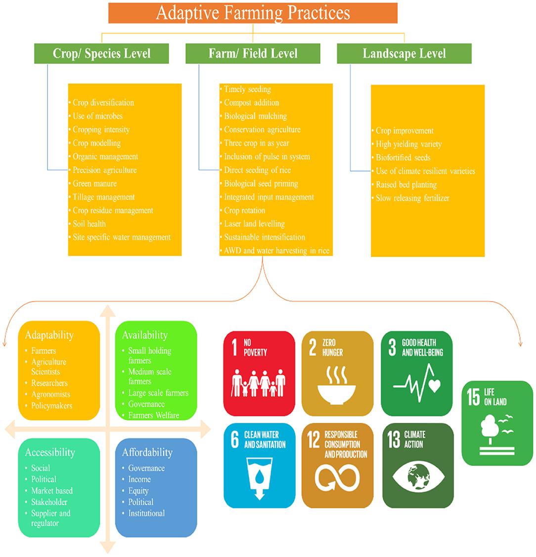 Adaptive Farming Techniques for Climate Resistant Crop Systems